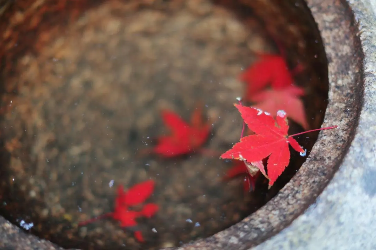 ****  Ryokan Tanoya Quioto Japão